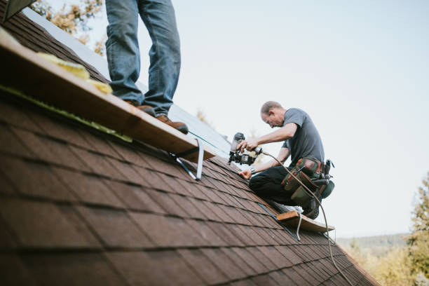 Roof Gutter Cleaning in Lodi, NJ